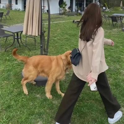 曼谷复仇